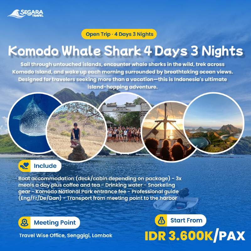 Komodo Whale Shark 4 Hari 3 Malam